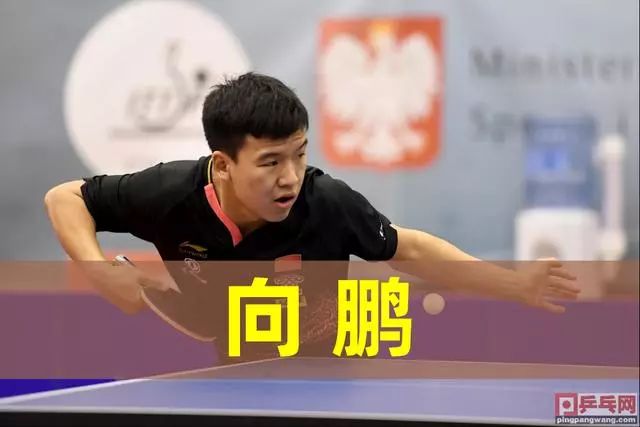 其实更多是 其实更多是